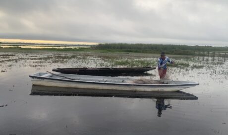Artisanal Fishing Wetland