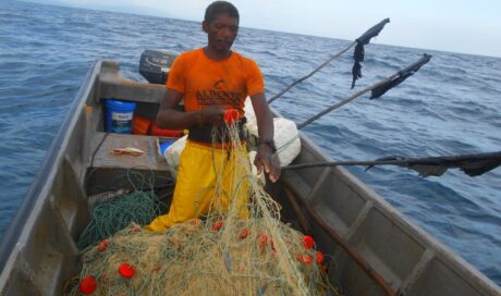 Effectiveness Lionfish Fishing